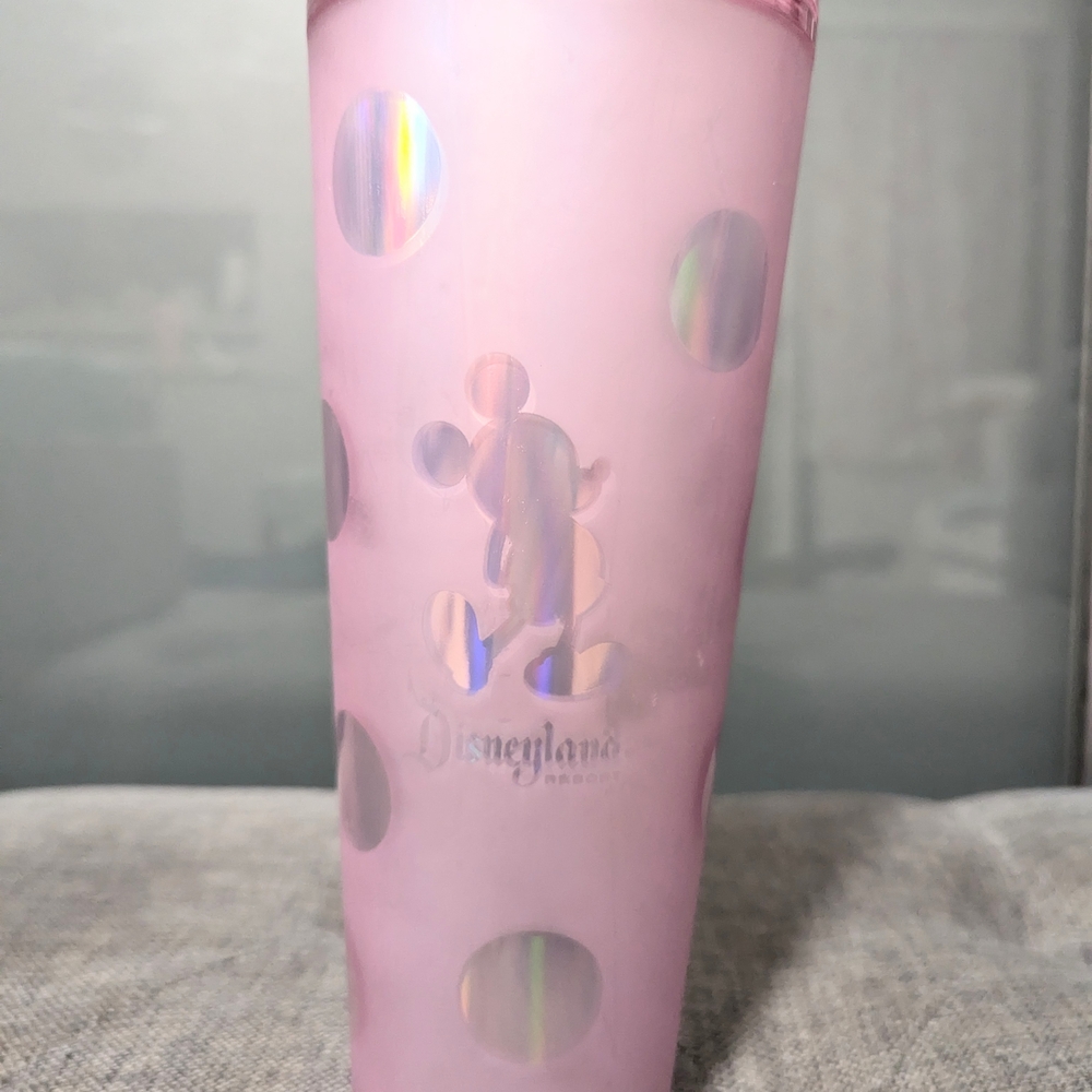 Starbucks x Disneyland Pink Tumbler - 24oz